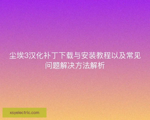 尘埃3汉化补丁下载与安装教程以及常见问题解决方法解析