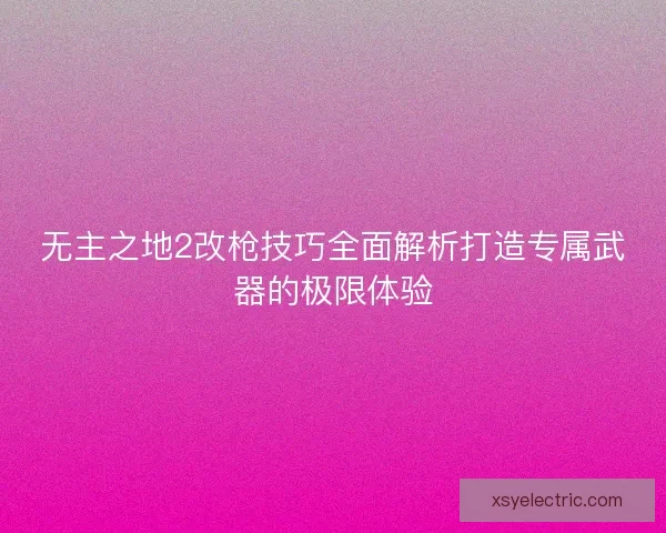 无主之地2改枪技巧全面解析打造专属武器的极限体验